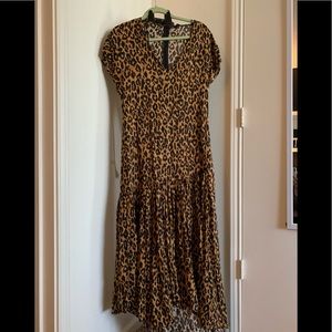 Brand new leopard summary address